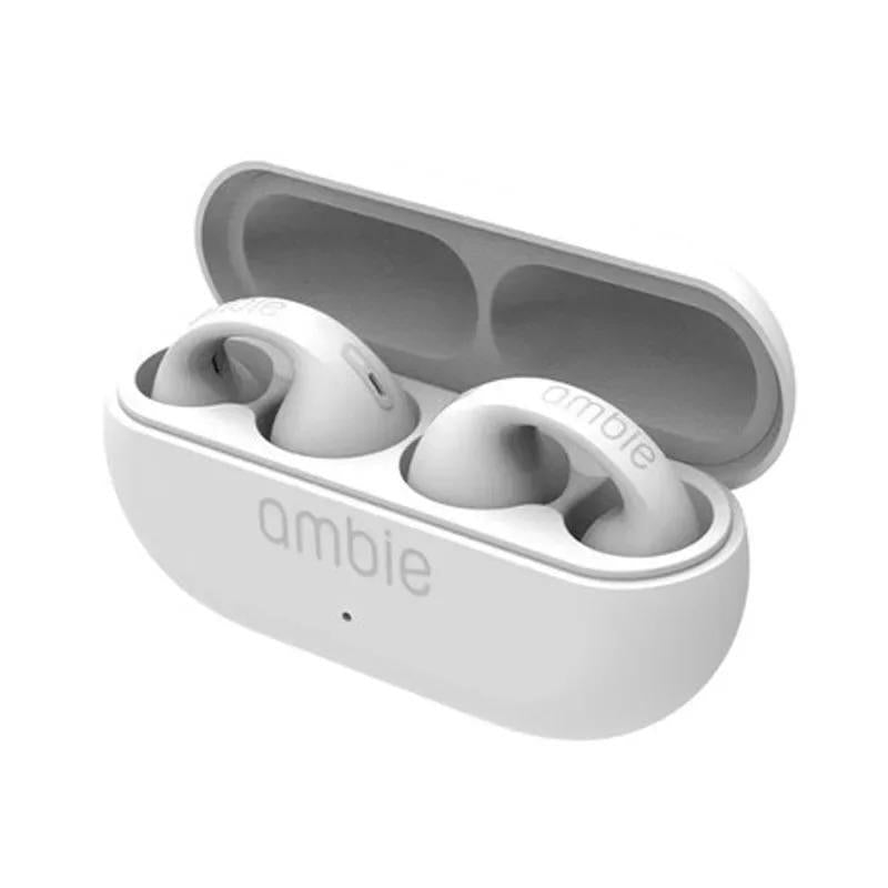 Noise-Cancelling Earbuds - Black - 1 Pcs with Charging Case